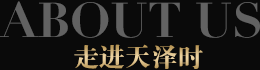 湖南李文鎖城投資管理有限公司